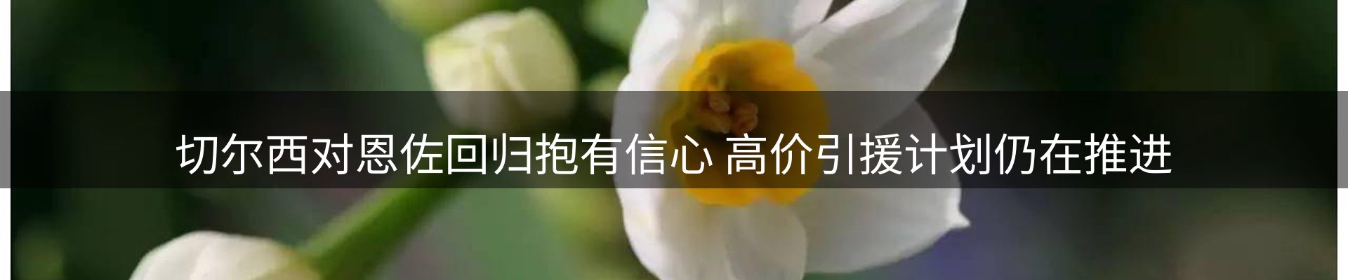 综合资讯